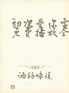 初次爱你电视剧免费播放全集观看封面