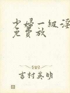 少妇一级淫片,免费放封面