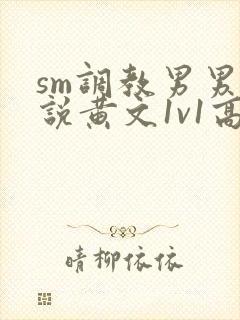 sm调教男男小说黄文1v1高h强制封面