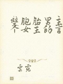 双胞胎男主和一个女主的言情小说