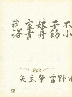 我家娘子不对劲洛青舟的小说