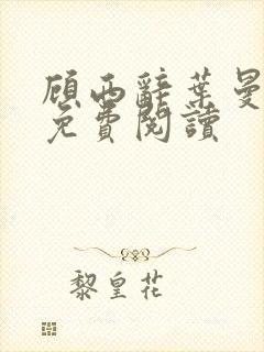 顾西辞叶曼全文免费阅读封面
