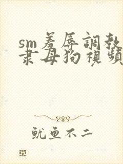 sm羞辱调教奴隶母狗视频
