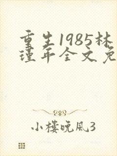 重生1985林瑾年全文免费阅读封面