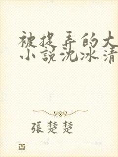 被捉弄的大小姐小说沈冰清