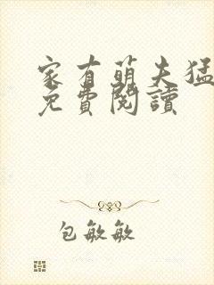 家有萌夫猛如虎免费阅读
