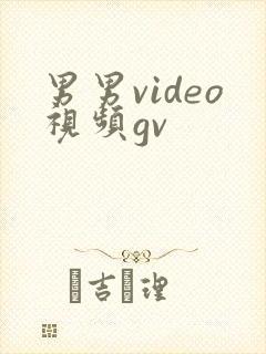 男男video视频gv