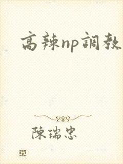 高辣np调教