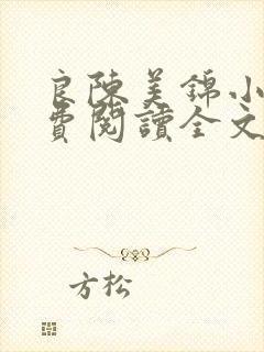 良陈美锦小说免费阅读全文下载