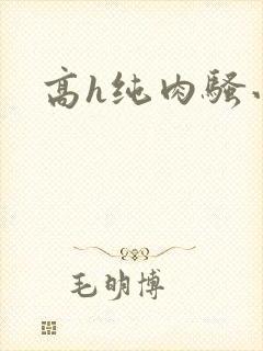 高h纯肉骚小说