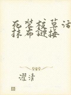 死装校草活该被抹布链接