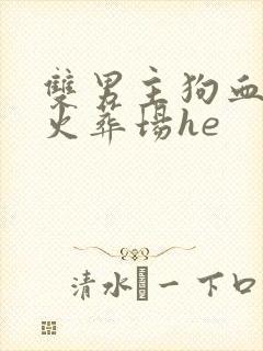 双男主狗血追妻火葬场he