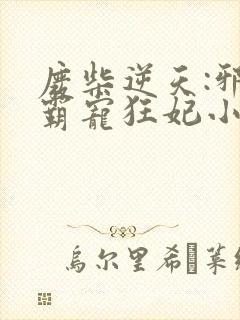 废柴逆天:邪王霸宠狂妃小说
