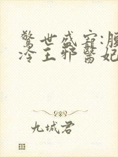惊世盛宠:腹黑冷王邪医妃