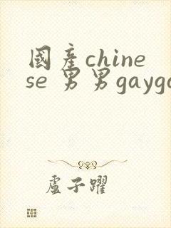 国产chinese 男男gaygay网站
