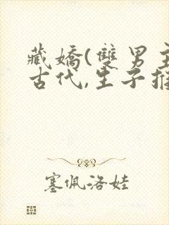 藏娇(双男主)古代,生子推荐