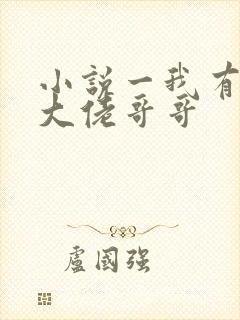 小说一我有七个大佬哥哥封面