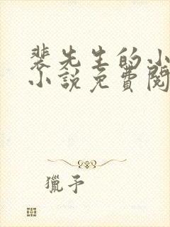 裴先生的小甜妻小说免费阅读