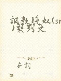 调教贱奴(sm )系列文