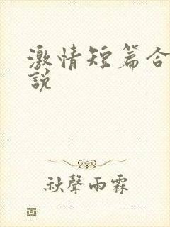 激情短篇合集小说封面