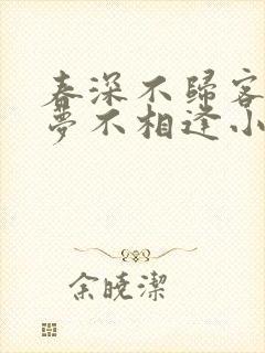 春深不归客 清梦不相逢小说