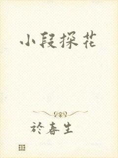 小段探花封面