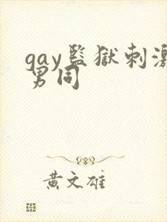 gay监狱刺激男同