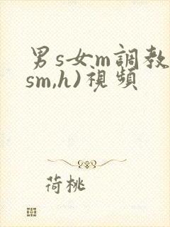 男s女m调教(sm,h)视频