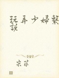 玩弄少妇系列小说封面
