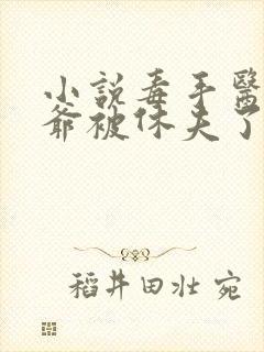 小说毒手医妃王爷被休夫了完整版封面