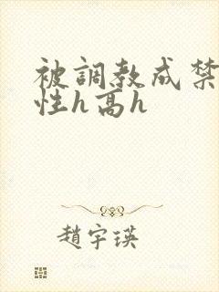 被调教成禁脔双性h高h