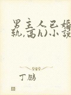 男主人已婚(出轨,高h)小说