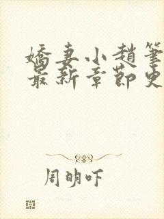 娇妻小赵笔趣阁最新章节更新时间封面