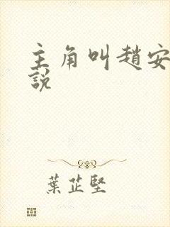 主角叫赵安的小说