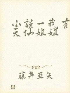 小说一我有五个天仙姐姐封面