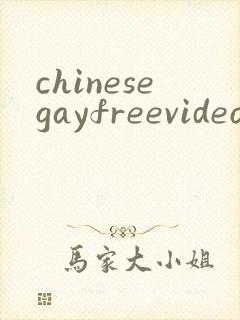 chinesegayfreevideoporn