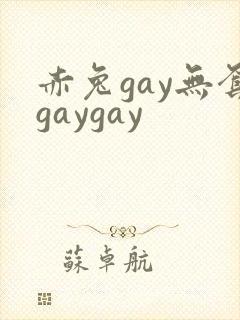 赤兔gay无套gaygay