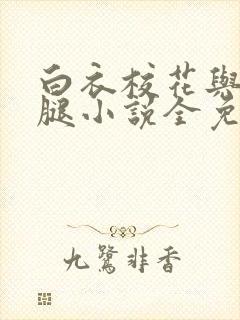 白衣校花与大长腿小说全免费