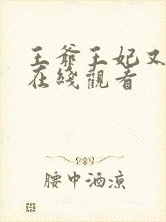 王爷王妃又跑了在线观看封面