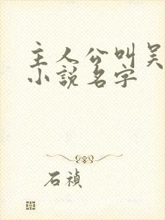 主人公叫吴云的小说名字