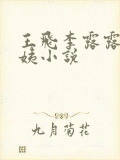 王飞李露露沈阿姨小说封面