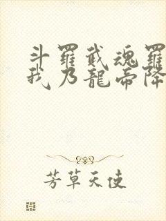 斗罗武魂罗三炮我乃龙帝降临
