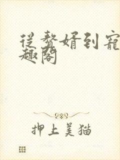 从赘婿到宠臣笔趣阁