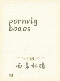 pornvigboaos封面