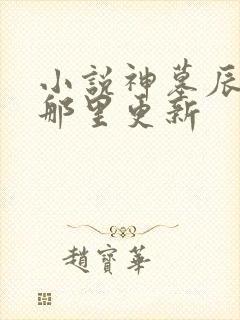 小说神墓辰东在那里更新