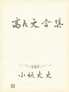 高h文合集