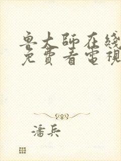 鲁大师在线高清免费看电视剧