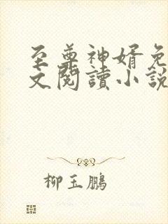 至尊神婿免费全文阅读小说封面