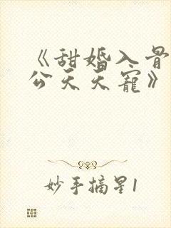 《甜婚入骨,老公天天宠》