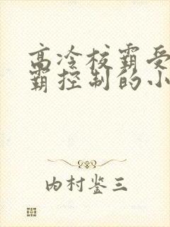 高冷校霸受被学霸控制的小说